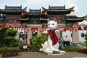 dsc01188.jpg
