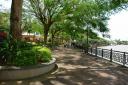dsc01590.jpg
